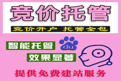 案例剖析：百度SEM助力企业实现品牌与产品双赢